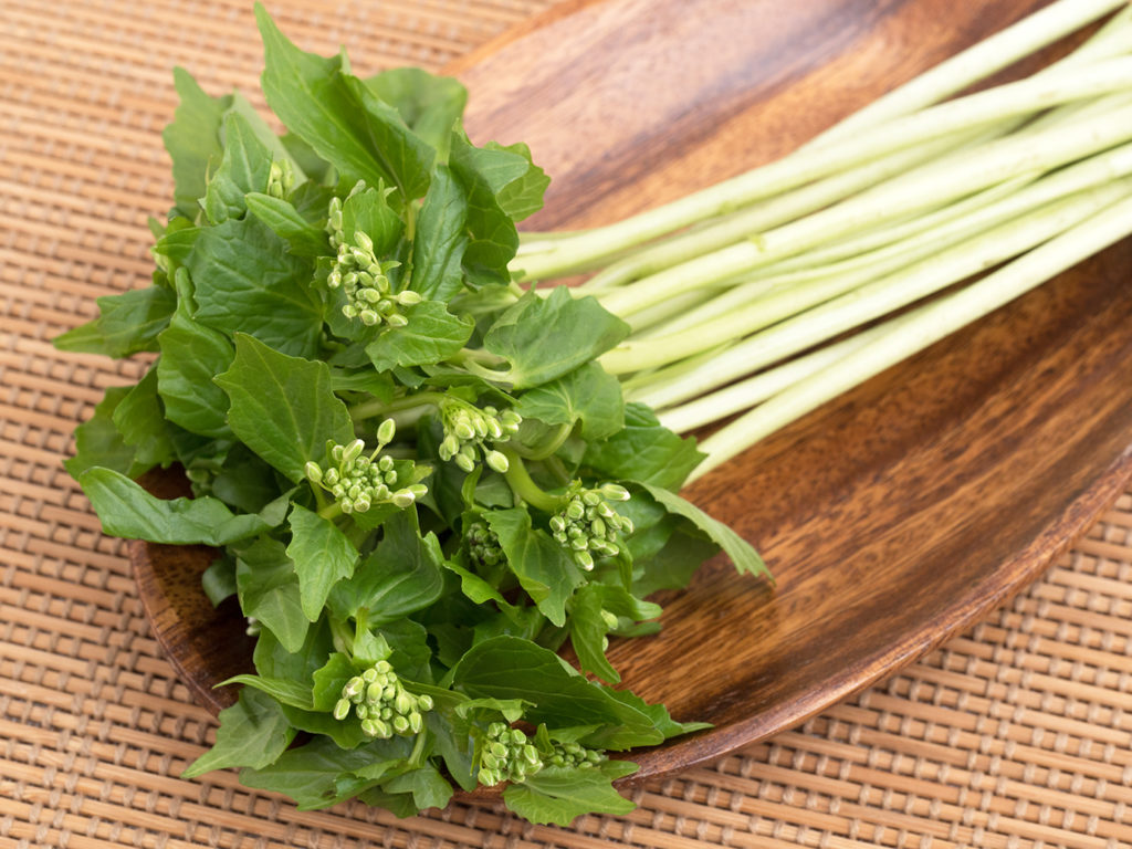 Japanese wasabi leaves and buds, Fukushima produce