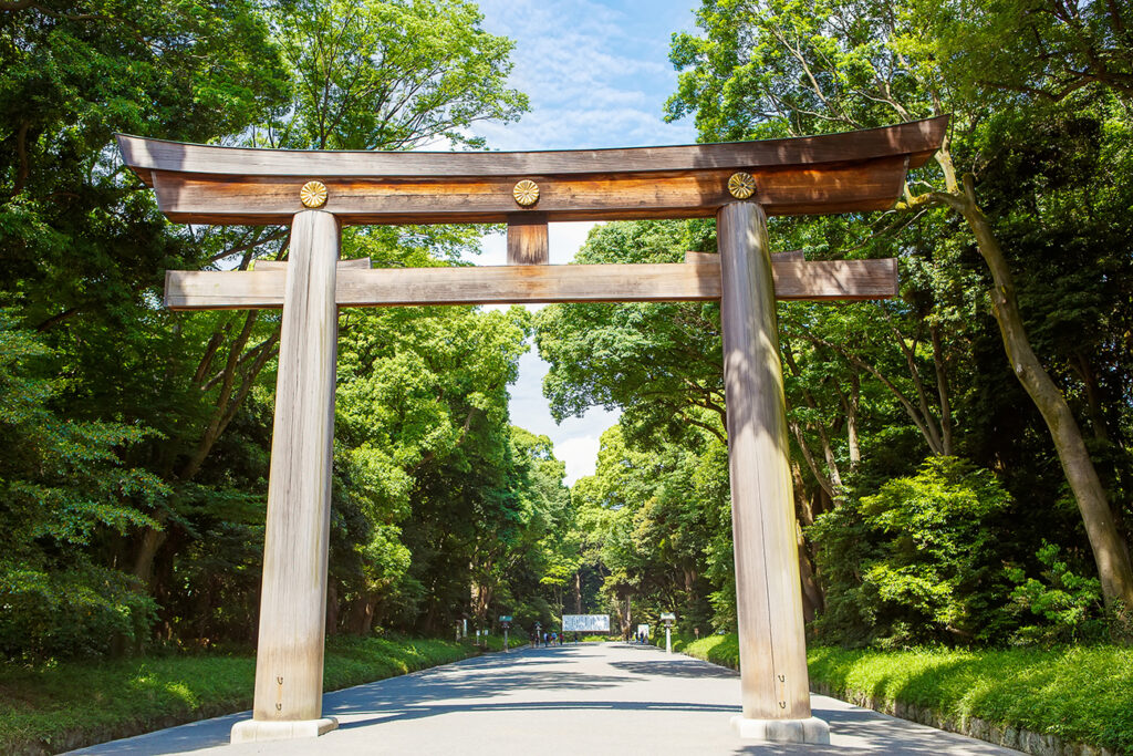 Torii of Meiji-jingu in Tokyo, Japan. The most popular historical shrine in Japan