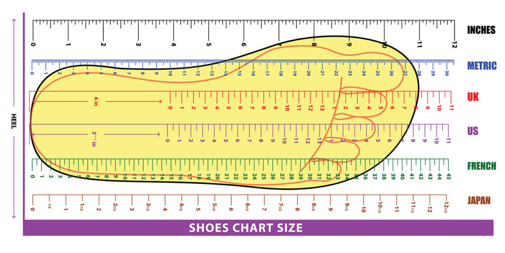 set of shoes chart size or socks chart size or measurement foot chart concept.